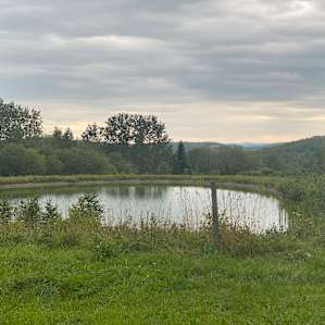 Spring Pond Campsite