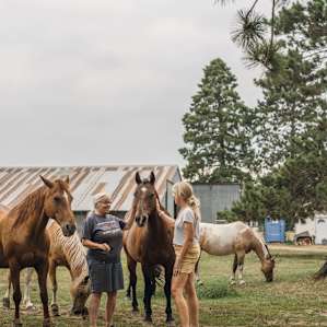 For the Love of Sacred Horses