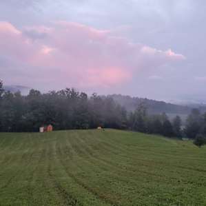 Black Creek's Tent Haven