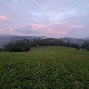 Black Creek's Tent Haven
