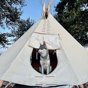 Meadow Springs Tipi and Campsite