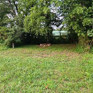 Creekside Bliss Level Camper Site