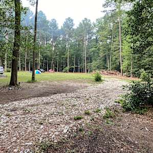 View when you come through the pine tree lane