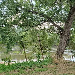 River view from Campsite #2