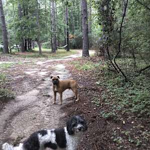 Sandy Pines Campgrounds