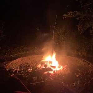 Waterfront Forest Campground