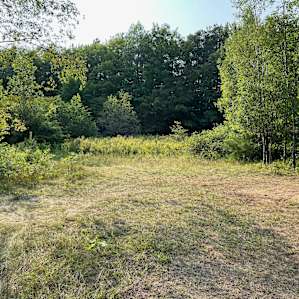 Lots of room for multiple or large tents; Trees for hammocks