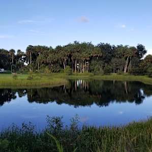 Taste of Old Florida Tent camping