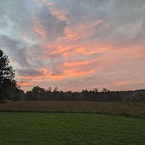 Pride Rock at Harold's View Farm