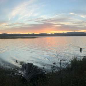 Fischer's Place on the Estuary