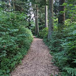 The kind of trails you will find on this property are well maintained as well as beautiful!