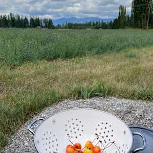 private campsite