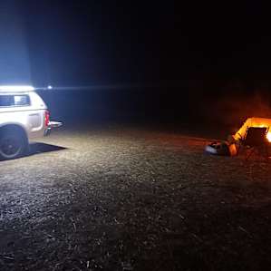 Site 5 Cabbage Gum Camp