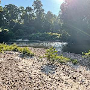 Camp Topisaw Creekside Sandbar
