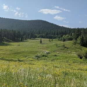 View from the property