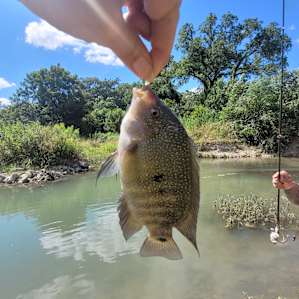 Private Blanco River Front -SM,TX