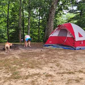 Triple D Retreat
