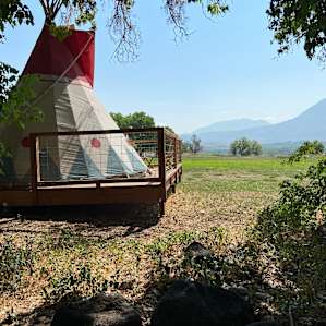 RAVEN tipi