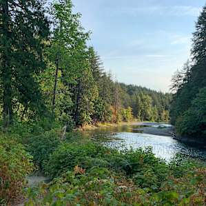 Beautiful rainforest camping along the Cowichan river