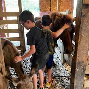 PRIVATE Glamping Farm Stay