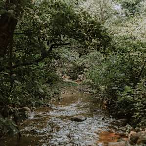 The creek that runs along the camp area