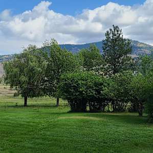 Camp Staci