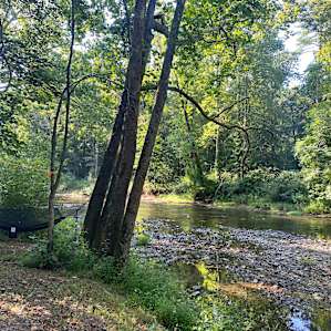 Down stream Creek view from site #2