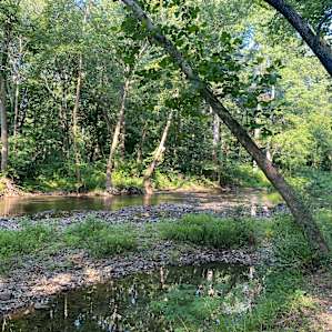 Upstream Creek view from site #2
