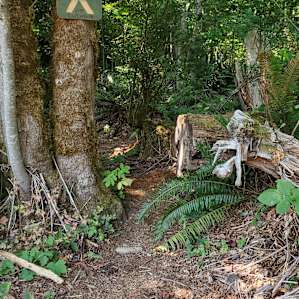 Entrance to the privy