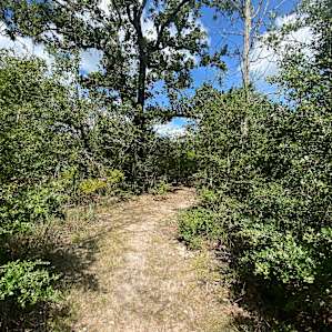 Plenty of shade, easy to find paths