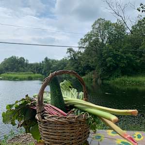 Réal and Johanne surprised us with fresh produce from the garden.