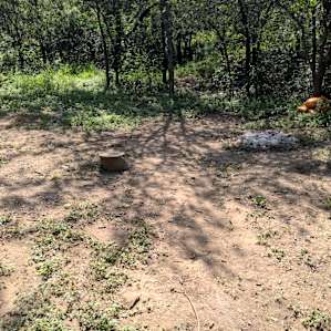 Lost Woods Campground