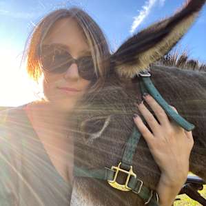 Miniature Horse & Donkey Oasis