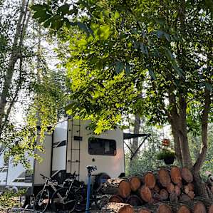 nice shaded campsite
