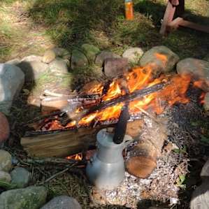 Forest Dream - Central WI off-grid
