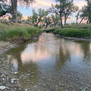Tipperary Ranch camping