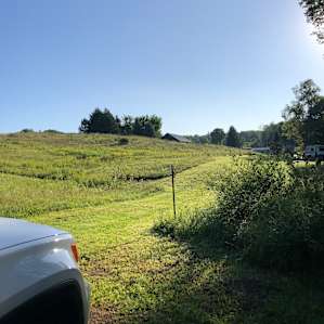 Photo of Llovely Meadows Tent Camping - Llama Meadows Eco Farm BaseCamp (111)