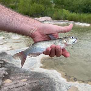 500 Waves Beach Camp on Llano River