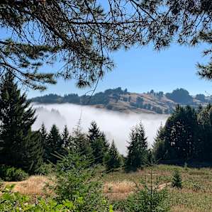 Glamping Tents, Vistas & Stars
