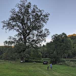 Seriously, the site is huge. It's all the space from the white fence back to the creek. If you look closely, you can see my minivan for scale. The electrified cow fence surrounds 3 sides of the site, but there's still plenty of room inside.