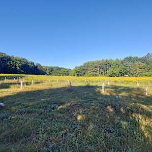 Meadow Camp at Good Root Growers