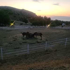 Unhitched Ranch