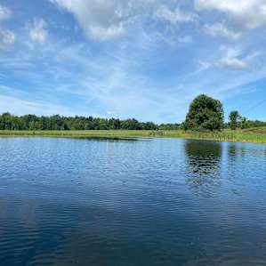 Crystal Pond at Hogan's Landing