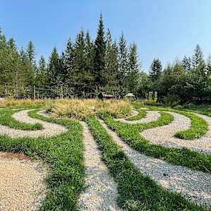 Labyrinth