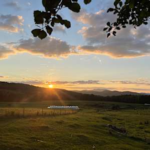 Pasture views
