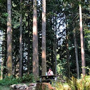 Sitting in the shade over at the nearby tent site picnic table