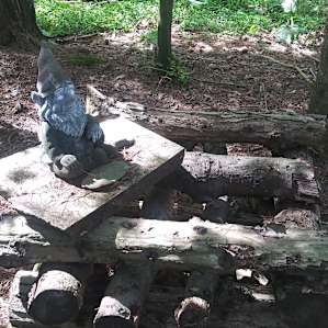 Shiitake Mushroom Camp