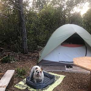 Tent is provided if you need it.