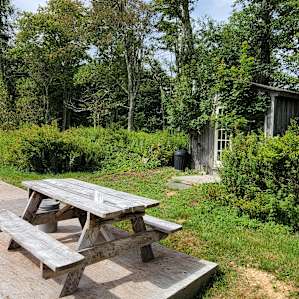 Clear Life Cabin, Livingston Manor