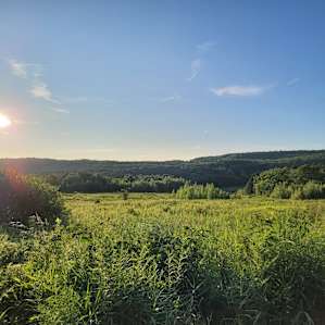 Clear Life Cabin, Livingston Manor